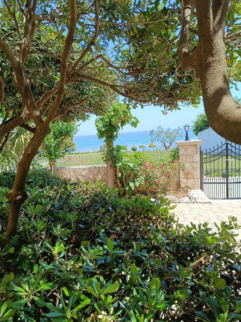 Calypso Studios Amoudi Exterior foto